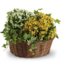 Basket of Joy 